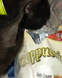 Капучино Aristocrat Irish Cream 1000 г № 58339628-0108-1 18.10.2025 10:50:02 фото № 3