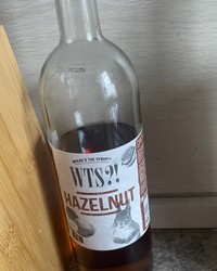 Сироп WTS?! Hazelnut Лесной орех стекло 1000 мл № 16399807-0693-7 28.10.2025 04:43:21 фото № 1