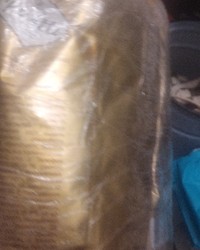 Кофе в зернах Poetti Daily Classic Crema 1000 г № 51775365-3903-1 22.11.2025 17:31:12 фото № 2