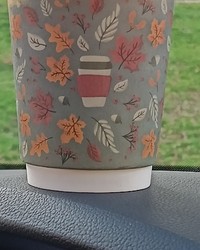 Стакан бумажный 2-слойный ProstoKap Осень Листья СЕРЫЙ d=80 250 мл № 0174633691-0097-1 10.11.2025 16:25:28 фото № 1