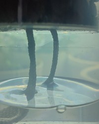 Стакан PP прозрачный глянцевый d=90 500 мл № 25818474-0390-1 21.11.2025 11:06:57 фото № 3