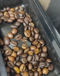 Кофе в зернах Piazza del Caffe Espresso Forte 1000 г № 03751650-0438-1 16.05.2024 07:44:02 фото № 1