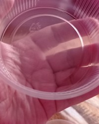 Контейнер круглый PP d=101 250 мл № 0125493467-0094-1 14.08.2025 16:00:13 фото № 3