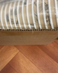 Стакан бумажный Ботаника d=90 400 мл № 32083274-0374-1 05.12.2024 14:55:03 фото № 1